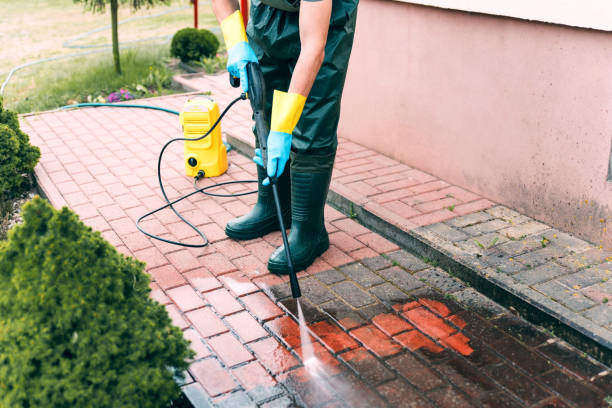 Best Roof Washing  in Johnsonburg, PA