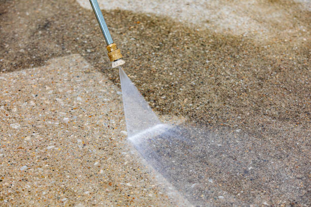 Best Roof Washing  in Johnsonburg, PA